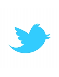 como-criar-um-botao-de-tweet-customizado-em-wordpress
