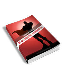 leve-seu-blog-wordpress-ao-proximo-nivel-com-este-livro
