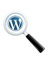 10-truques-para-usar-no-motor-de-pesquisa-do-wordpress