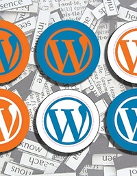 equipe-do-wordpress-ajuda-o-a-mudar-blog-do-wordpress-com-para-o-wordpress-org