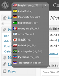 painel-de-administracao-do-wordpress-em-varias-linguas