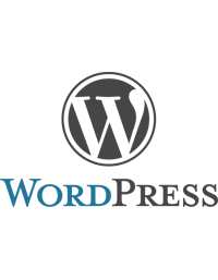 8-coisas-que-voce-nao-sabia-que-podia-fazer-com-o-wordpress
